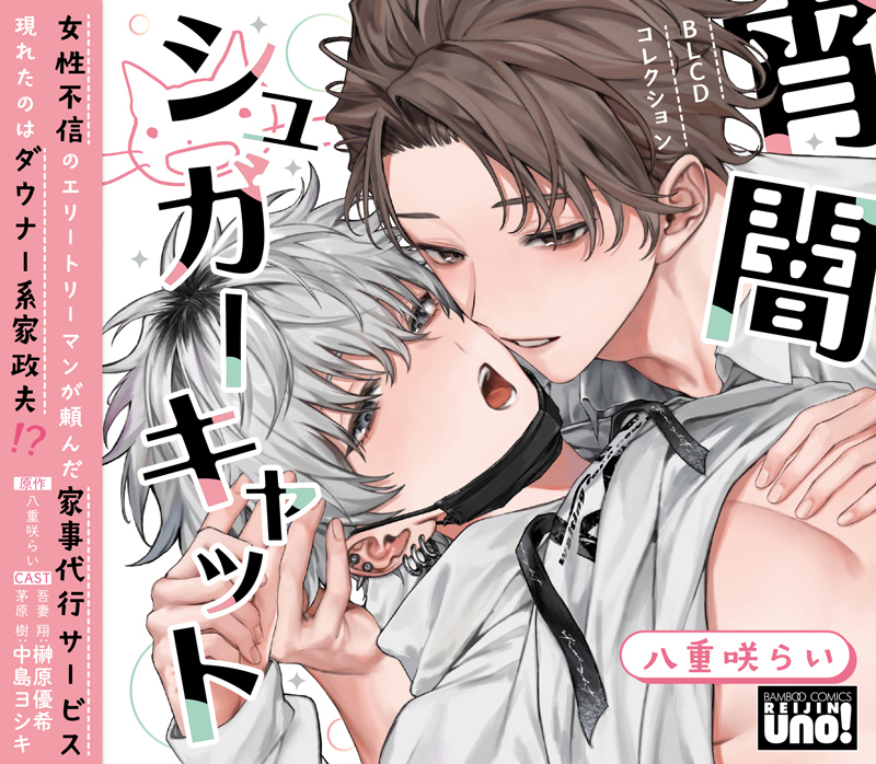 BLCDコレクション「宵闇シュガーキャット」